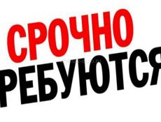 Нужна Посудница 