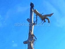 СПИЛ АВАРИЙНЫХ ДЕРЕВЬЕВ 