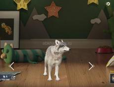 Аккаунт в пабг 