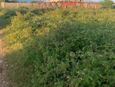 Срочно 16 соток 