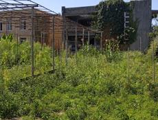 Продаётся участок 13 соток,с.Алахадзы,ул.Эшба72