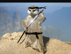 Диджей