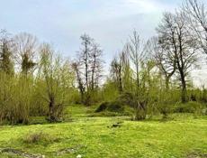 УЧАСТОК 2 ГЕКТАРА В БАБЫШИРЕ