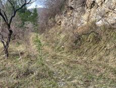 Старая Гагра продаю срочно 15 соток