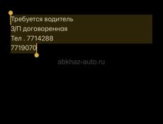 Водитель 