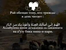 Снимаю квартира 