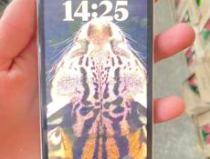 iphone11 