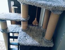 Продаю домик для кошки 