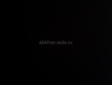 Лабрадор 🐶