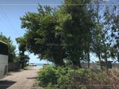 УЧАСТОК АЛАХАДЗЫ 15 СОТОК