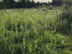 Ахаэадзе 700м до моря