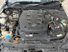 Nissan Stegea
