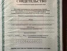 Первая береговая линия 