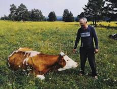 Требуется пастух