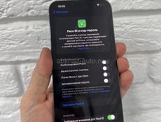 iPhone 13 Pro Max 256gb 