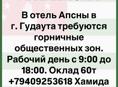 Горничная на холл
