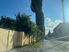 Комната в центре 