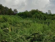 Цандрипш 6 соток 800 тыс либо обмен на авто 