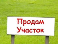 50 соток 
