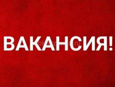 Ищем мастера в автосервис 