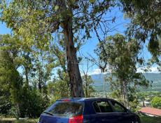 Opel Signum