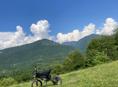 ATV