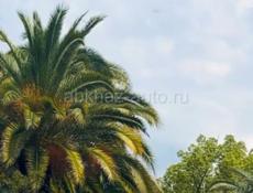 Продаю земельный участок 