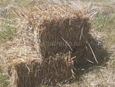 Продам сено