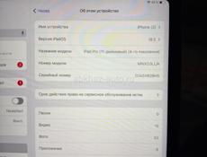 Ipad pro m2 трещина на экране и на логотипе 