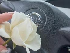 Куплю матор на Nissan X-treil T 30 срочно 