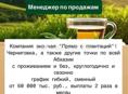 Менеджер по продажам