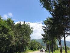 УЧАСТОК ЦАНДРИПШ 24 СОТКИ