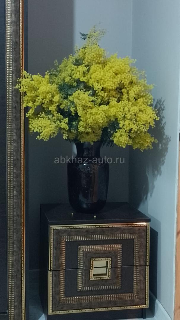 Агудзера. Сдам комнату