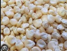 Продаётся белое кукуруза рушеныи свежий 