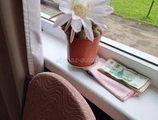 Сниму квартиру в Сухум на долгий срок 