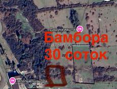 ГУДАУТА: УЧАСТОК НА БЕРЕГУ МОРЯ (бамбора) 30 соток