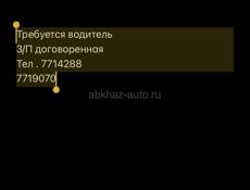 Водитель 