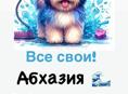 Требуется грумер (стрижка собак; кошек)