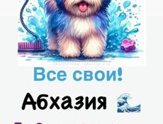 Требуется грумер (стрижка собак; кошек)