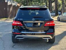 Mercedes-Benz ML