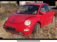 Beetle 