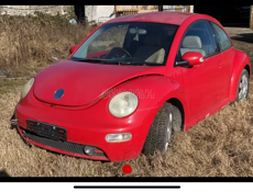 Beetle 