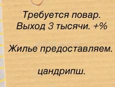 Цандрипш. Требуется повар 