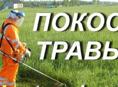 Кошу траву 