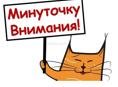 Ищу работу