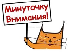Ищу работу
