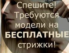 Нужны модели на стрижку женские, мужские , детские- бесплатно