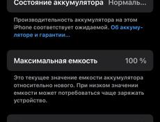 iPhone 16 Pro Max 256 Аккумулятор 100%