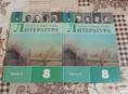 Литература 8 класс, 1 и 2 часть