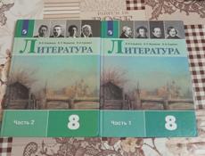 Литература 8 класс, 1 и 2 часть